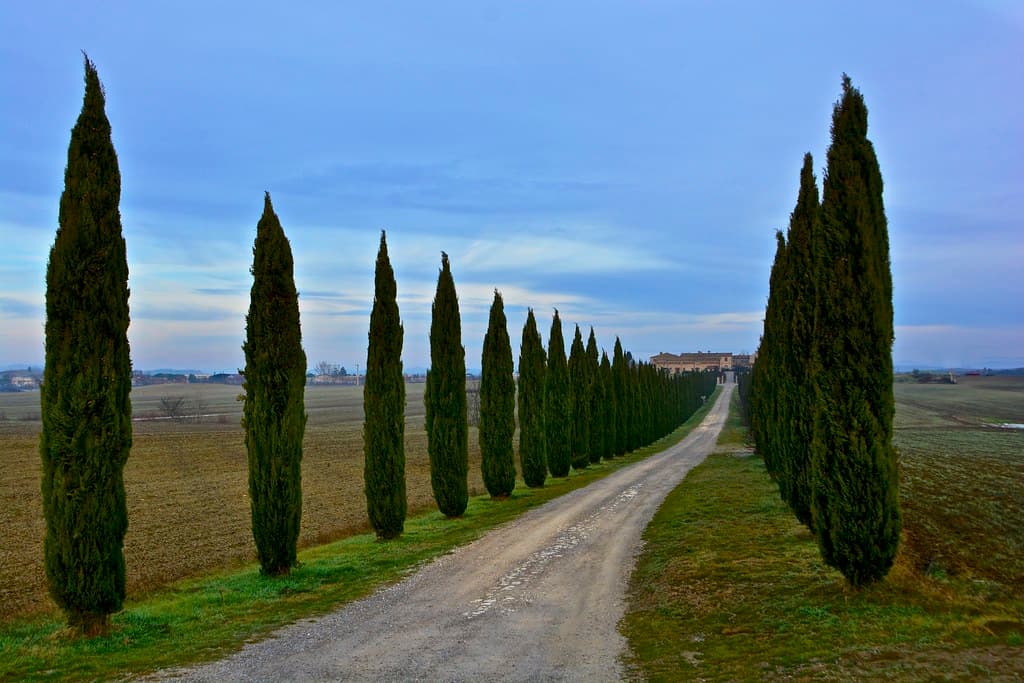 <center>Fly-Drive Rome  to  Venice</center>